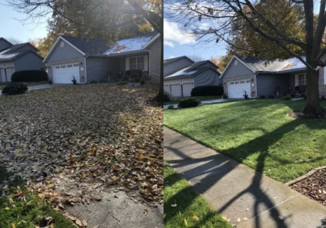 Before and After Lawn Care