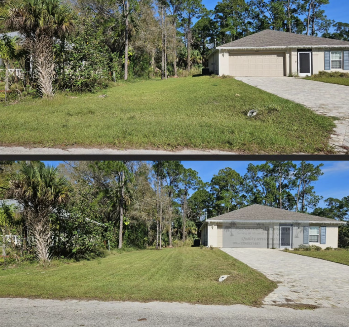 Front Yard Leaf Cleanup